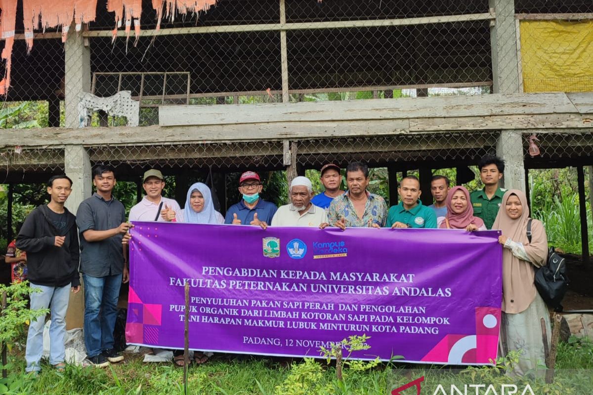 PKM Faterna Unand Beri Penyuluhan Pakan Sapi Perah dan Pengolahan Pupuk Organik dari Limbah Kotoran Sapi di Padang