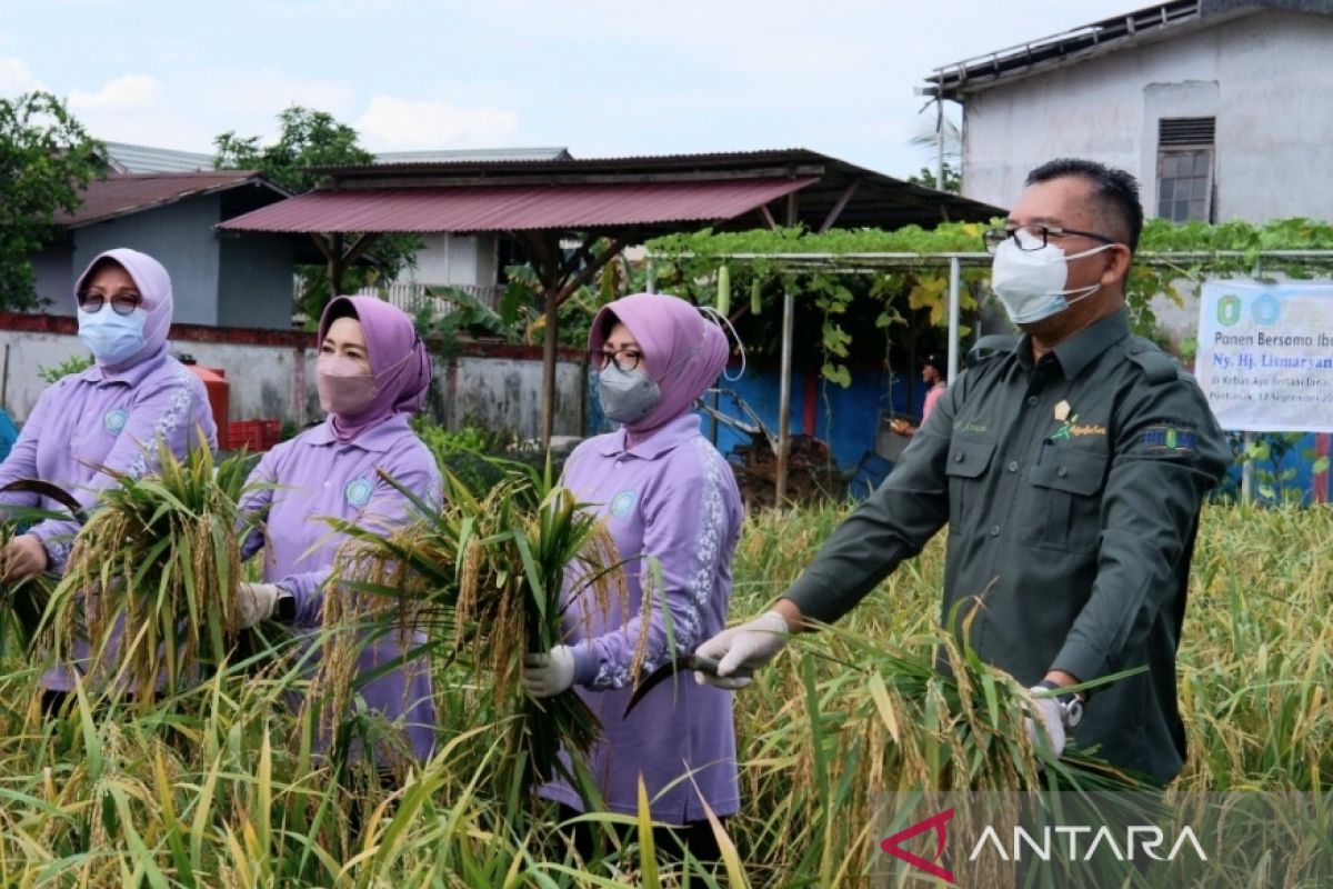 Kalbar surplus beras 346.648 ton di tengah ancaman krisis pangan