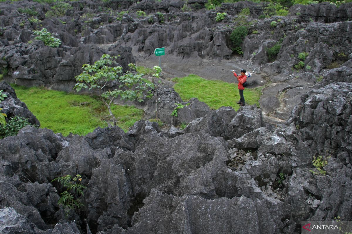 Restorasi ekosistem karst penting untuk keberlanjutan lingkungan