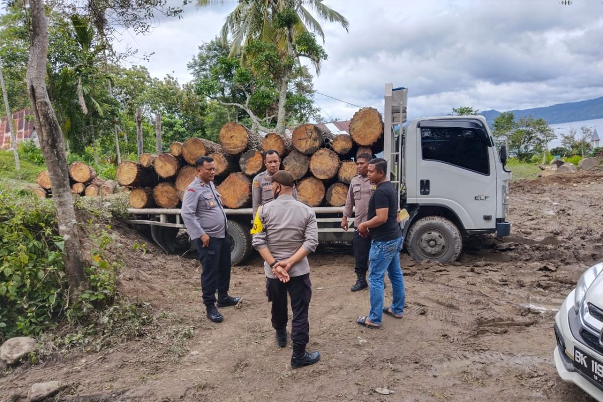 Penebangan pinus ilegal di Samosir diadukan ke polisi