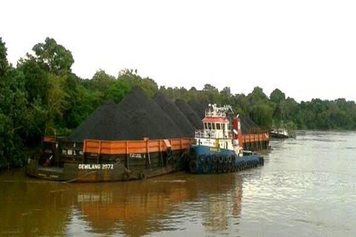 Walhi dorong kajian khusus jalur batu bara di Sungai Batanghari