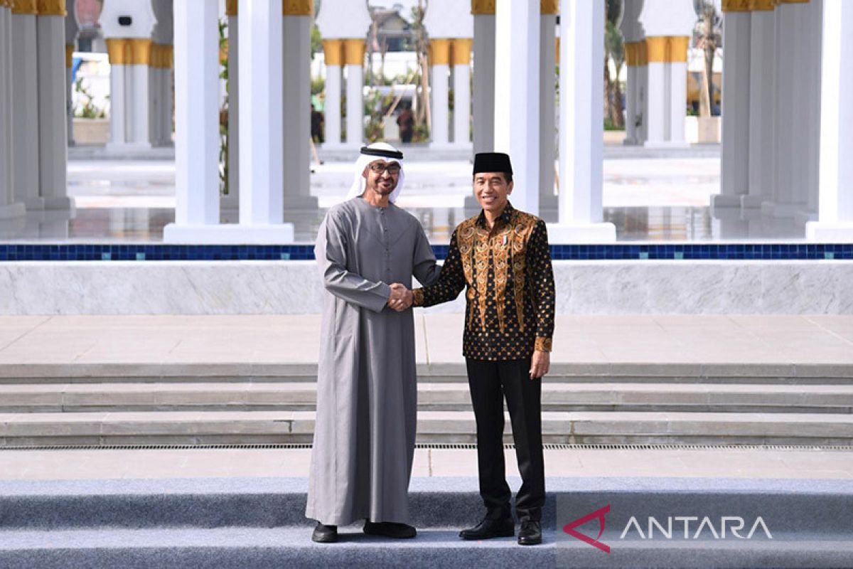 President Jokowi, UAE president officiate Sheikh Zayed Grand Mosque
