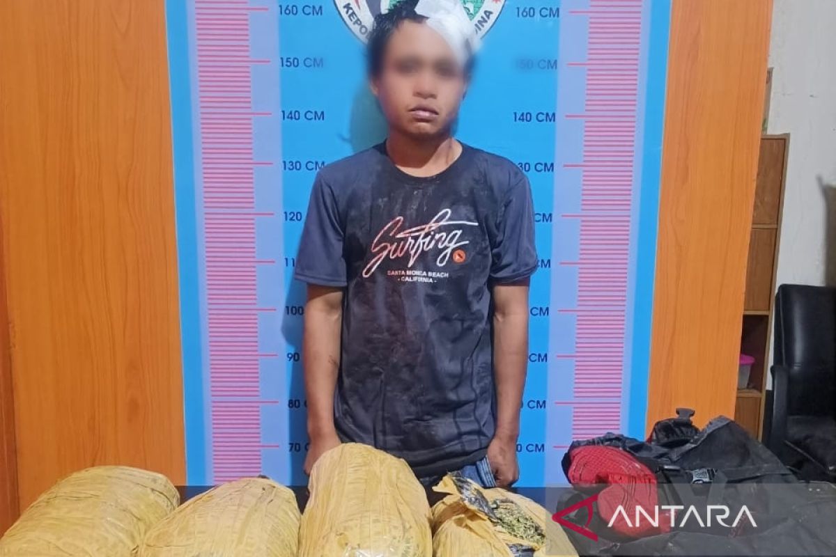 Sempat kejar-kejaran dengan petugas, Polisi amankan kurir ganja asal Panyabungan Timur