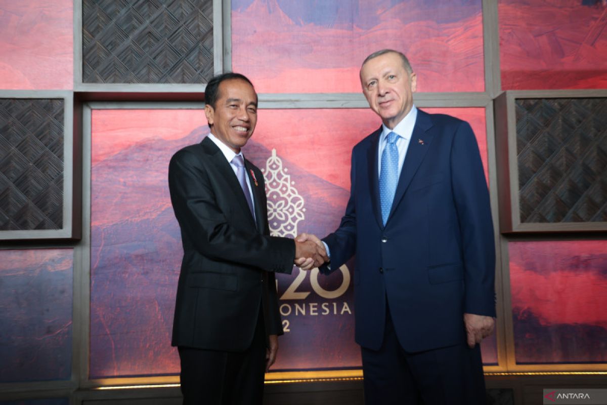 Jokowi ucapkan selamat  terpilihnya kembali Presiden Turki Erdogan