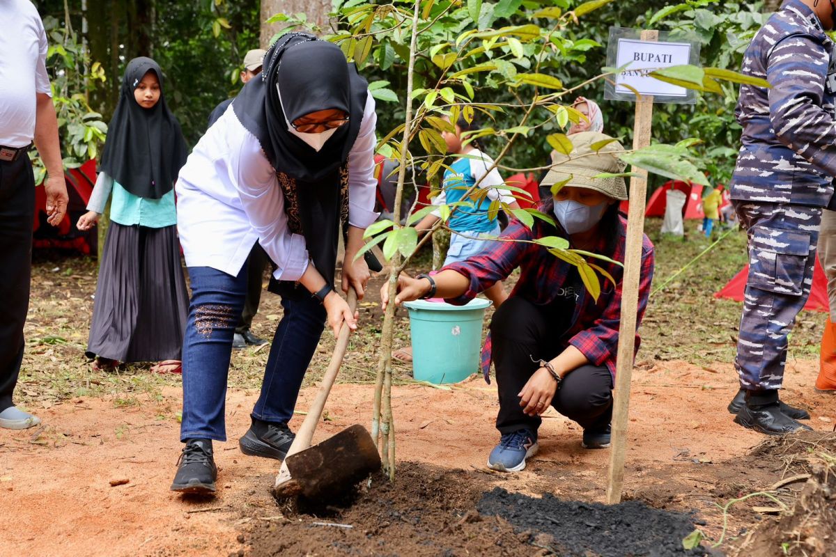 Tiga varietas durian merah Banyuwangi resmi terdaftar di Kementerian Pertanian