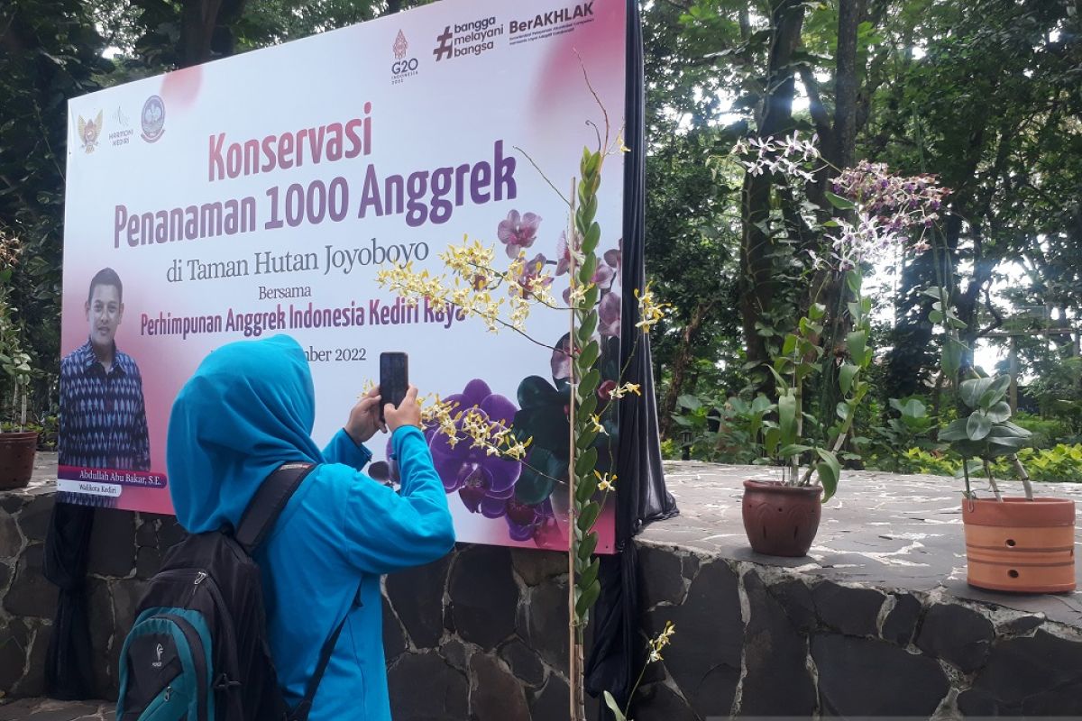 Pemkot Kediri konservasi anggrek di Hutan Kota Joyoboyo