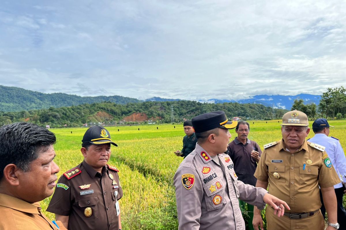 Gabah di Abdya surplus 44 ribu ton, kata Pj Bupati