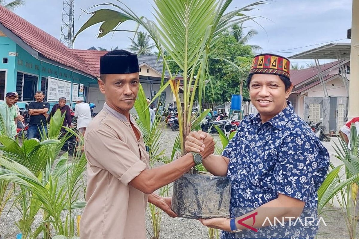 Ketua Fraksi PAN DPRA bantu 3.000 bibit kelapa hibrida untuk warga Aceh Barat