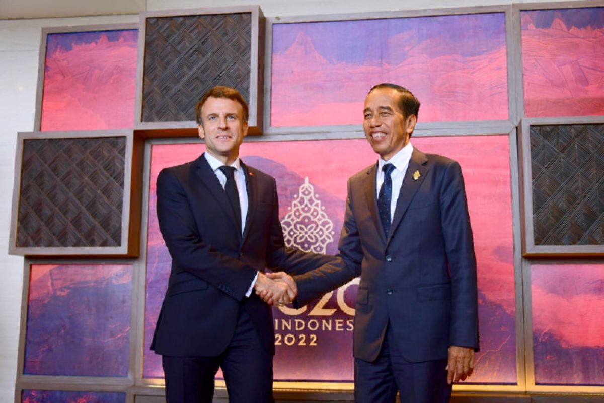 Jokowi: Proyek pertahanan Indonesia-Prancis melesat