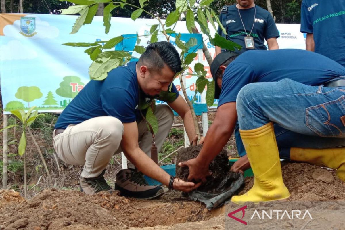 PNM tanami ribuan pohon di hutan Kota Jambi