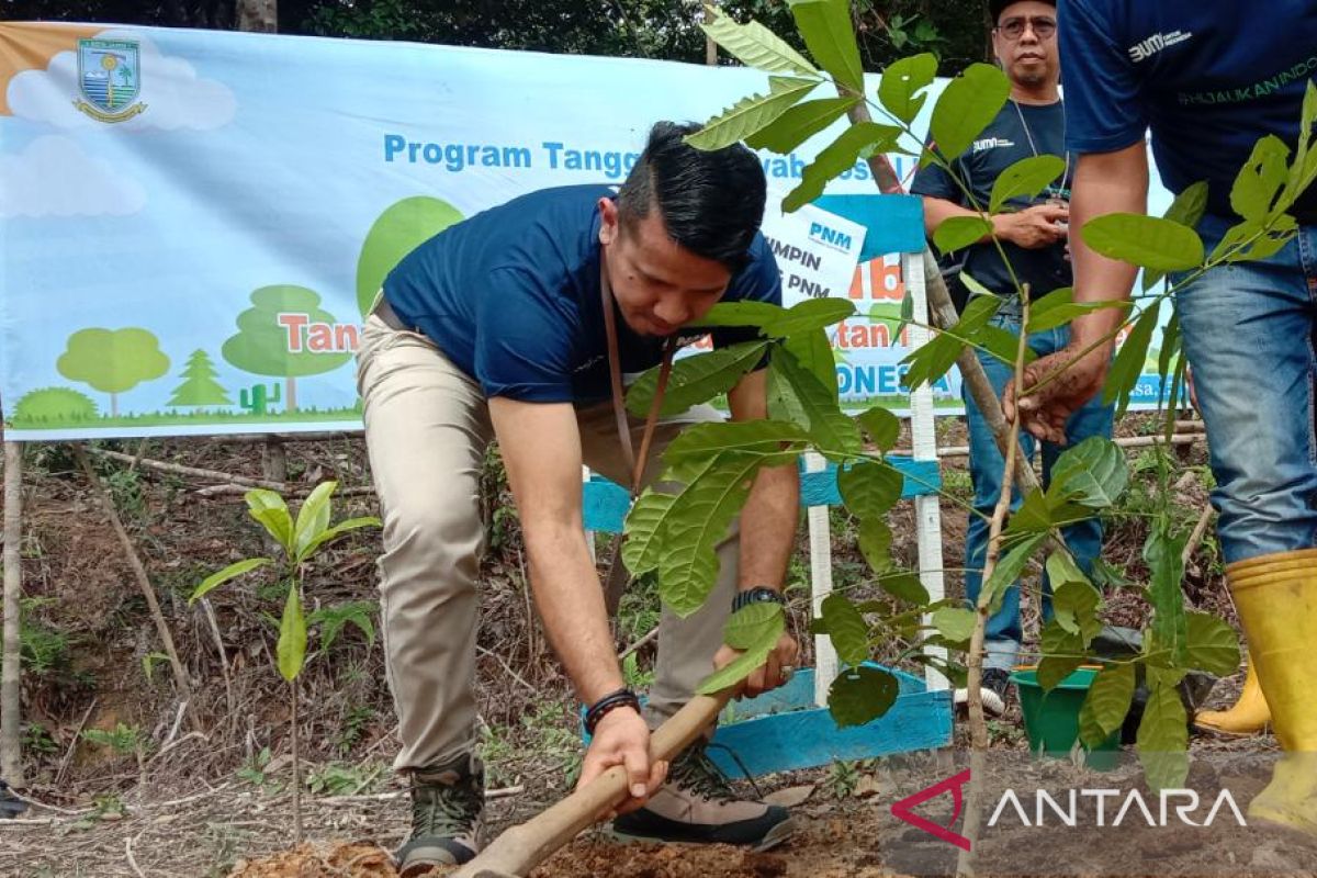 PNM tanami ribuan pohon di Hutan Bagan Pete  Kota Jambi