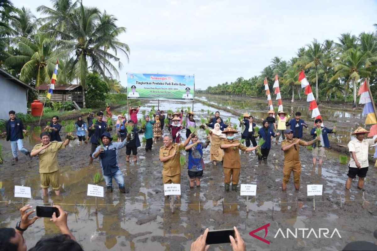 Kubu Raya ajak petani milenial perkuat pangan di Kalbar