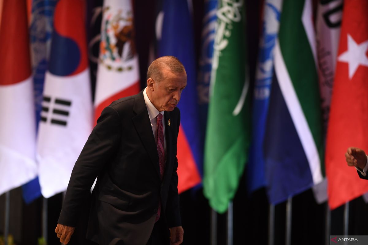 Recep Tayyip Erdogan kembali terpilih menjadi presiden Turki