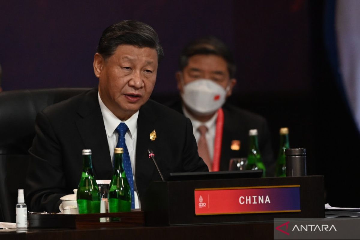Xi Jinping serukan penangguhan utang negara-negara berkembang