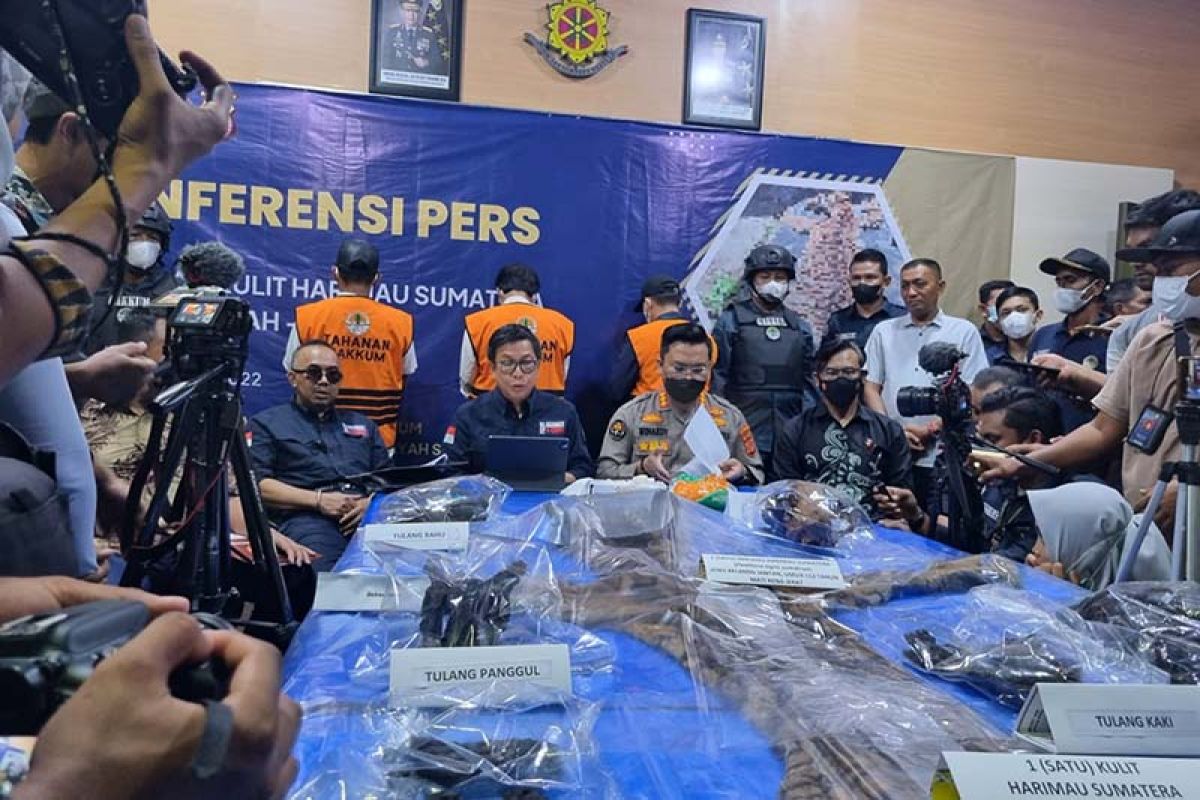 KLHK: Perkara penjualan kulit harimau di Aceh dinyatakan lengkap