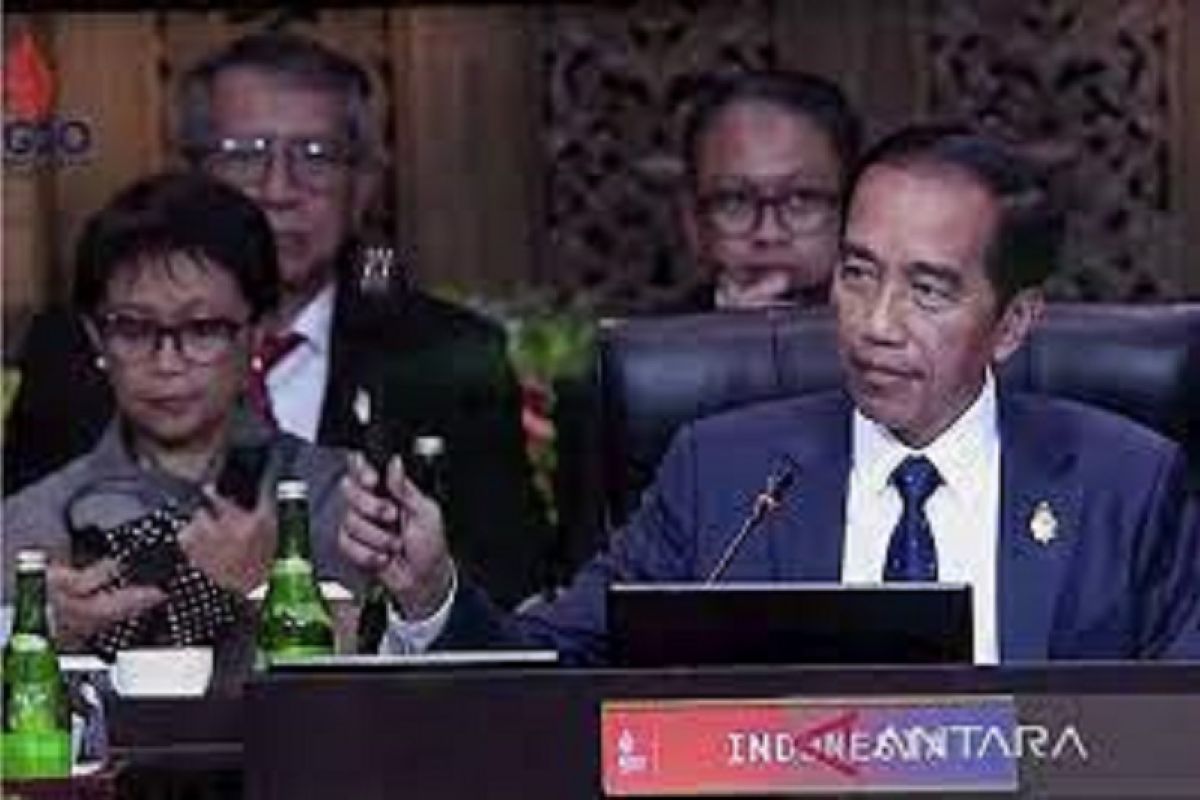 Indonesia ready to support PGII initiative: Widodo