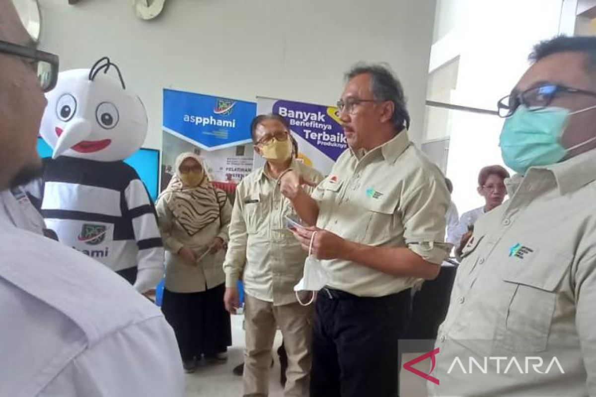 Pemprov Babel fokuskan pemberantasan nyamuk di tambang timah