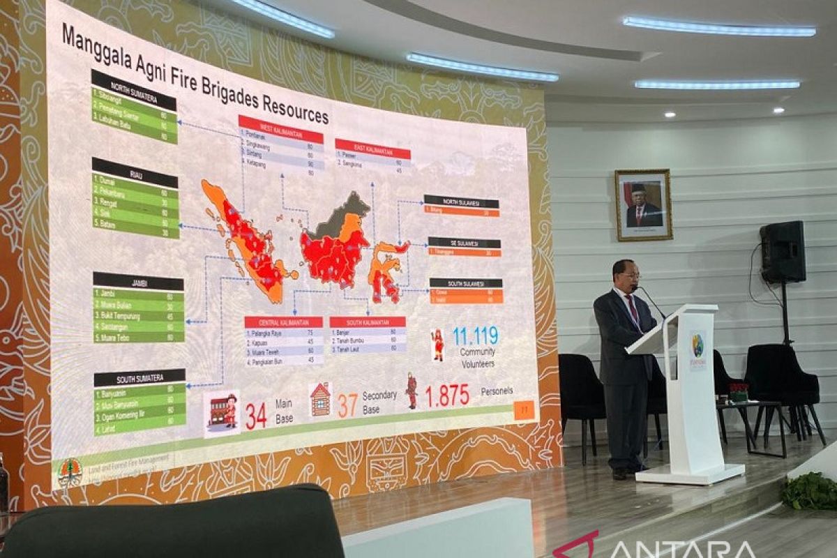 Kebakaran hutan dan lahan turun, langkah maju Indonesia turunkan emisi karbon