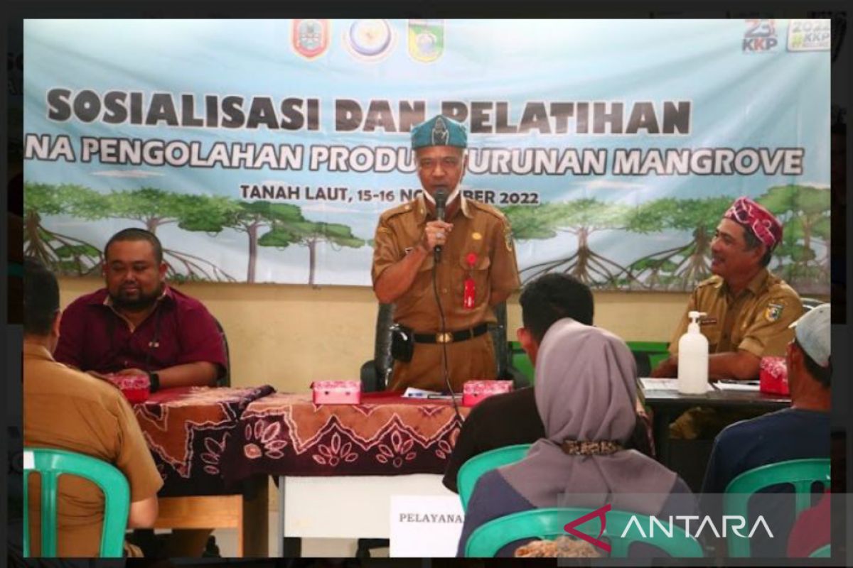 DKPP Tanah Laut gelar pelatihan pengolahan produk turunan mangrove