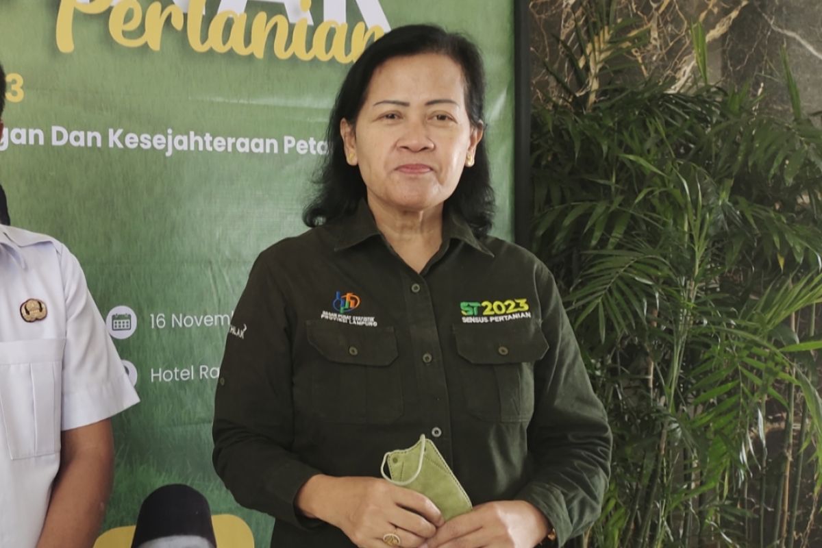 BPS Lampung:187 perusahaan sokong produktivitas pertanian