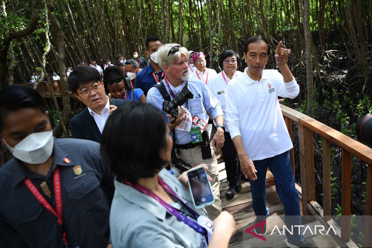 Jokowi invites G20 media teams to stroll Bali Forest Park