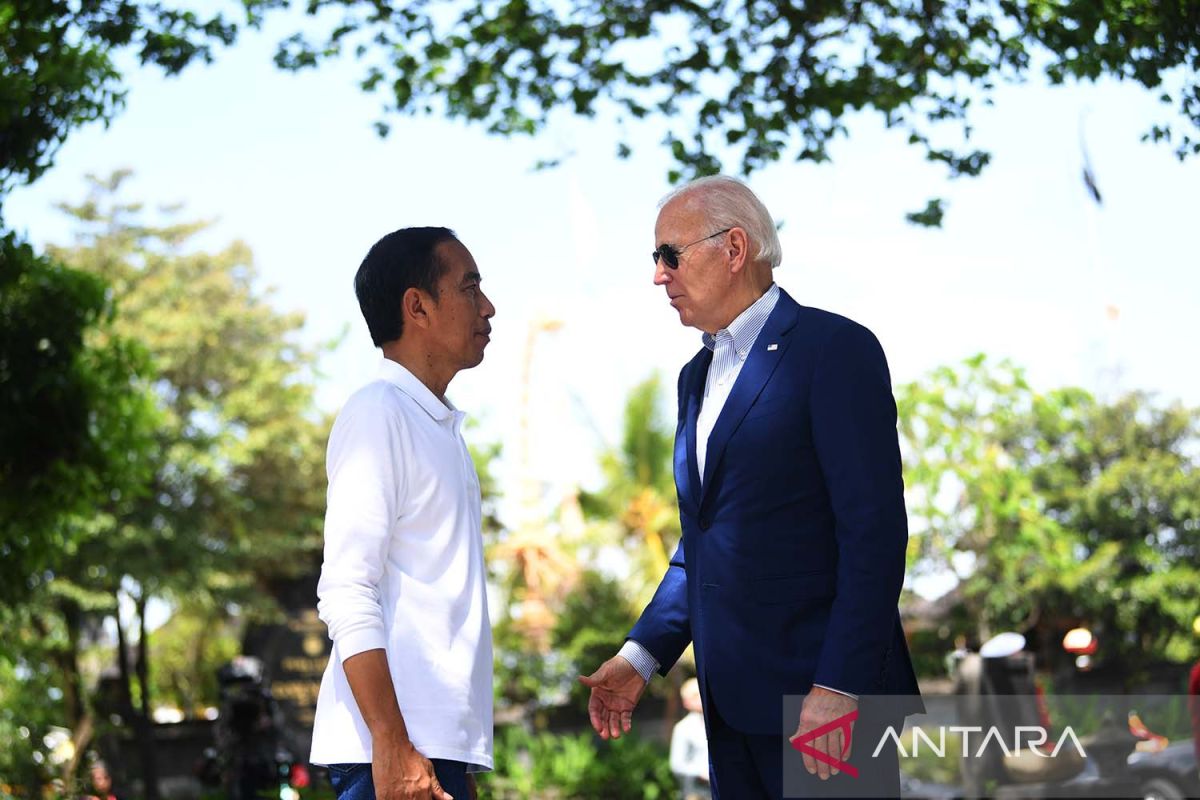 Jokowi akan sampaikan ke Biden soal posisi Indonesia atas konflik Gaza