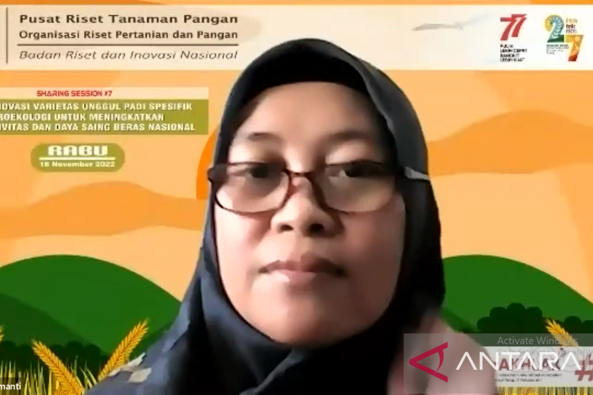 BRIN: Perakitan varietas unggul padi tingkatkan produktivitas beras