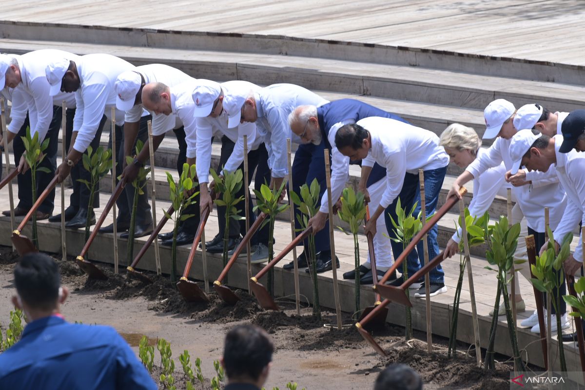 Jokowi ajak pemimpin G20 tanam pohon bakau di Tahura Ngurah Rai