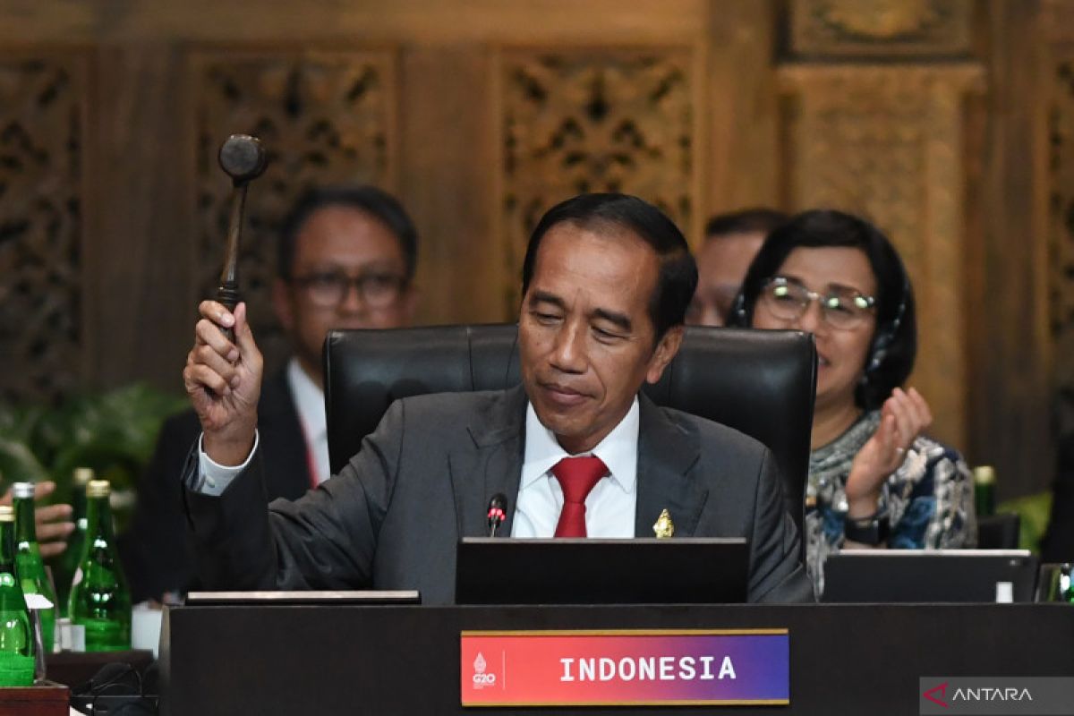 Jokowi serukan ke para pemimpin dunia hentikan perang