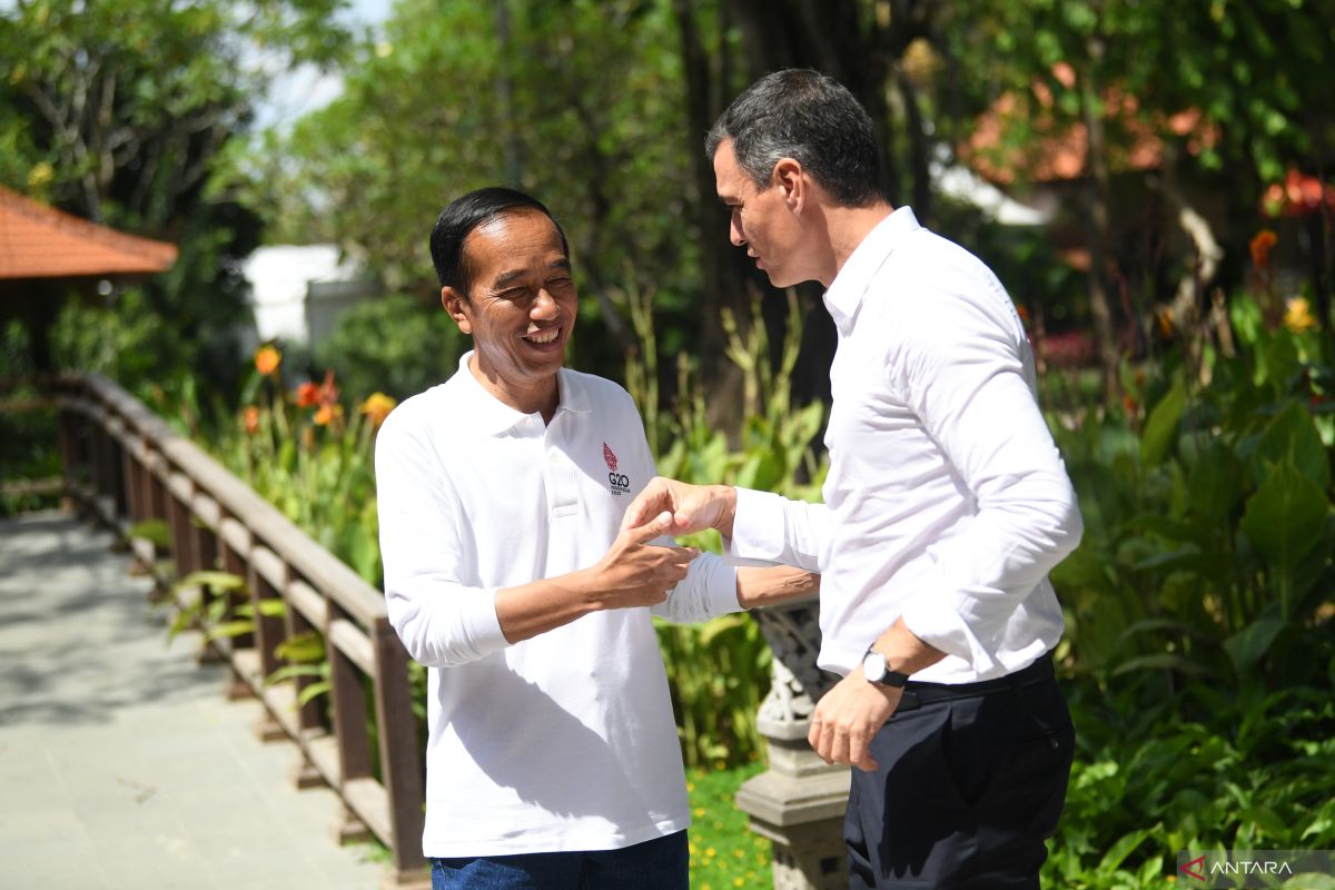 Presiden Jokowi : Pemimpin delegasi G20 apresiasi mangrove Indonesia