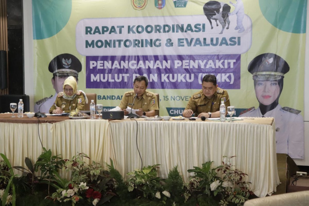 1.987 ekor hewan ternak di Lampung terjangkit PMK