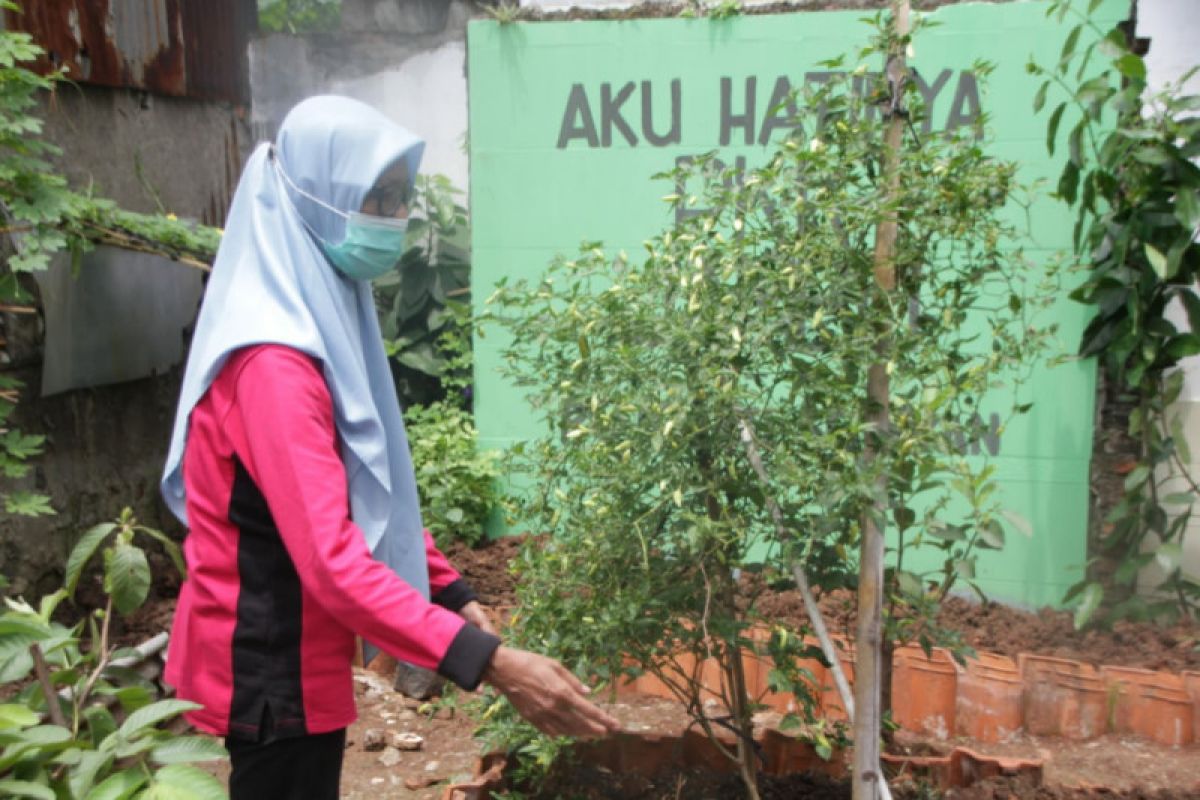 Pemkot Jaksel manfaatkan lahan tak terurus jadi sumber pangan bergizi