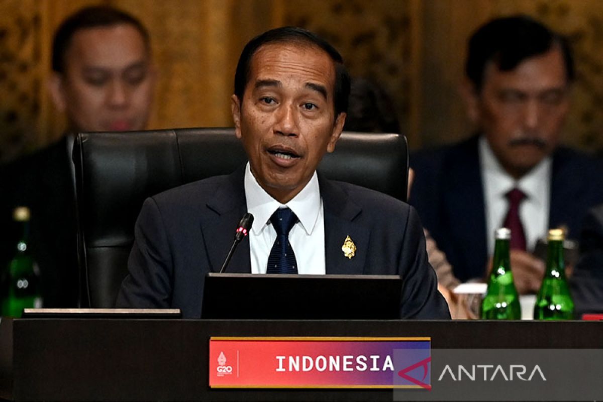Pengamat China lihat Indonesia sebagai kekuatan global baru
