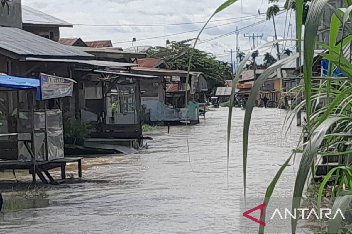 Banjir rendam tujuh desa di Aceh Tenggara