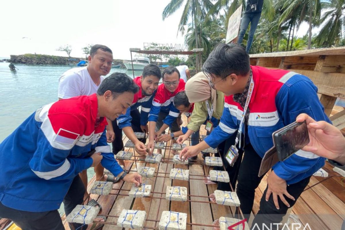 Komitmen Tanggung Jawab Sosial dan Lingkungan, Pertamina Lanjutkan Rehabilitasi Terumbu Karang di Banten