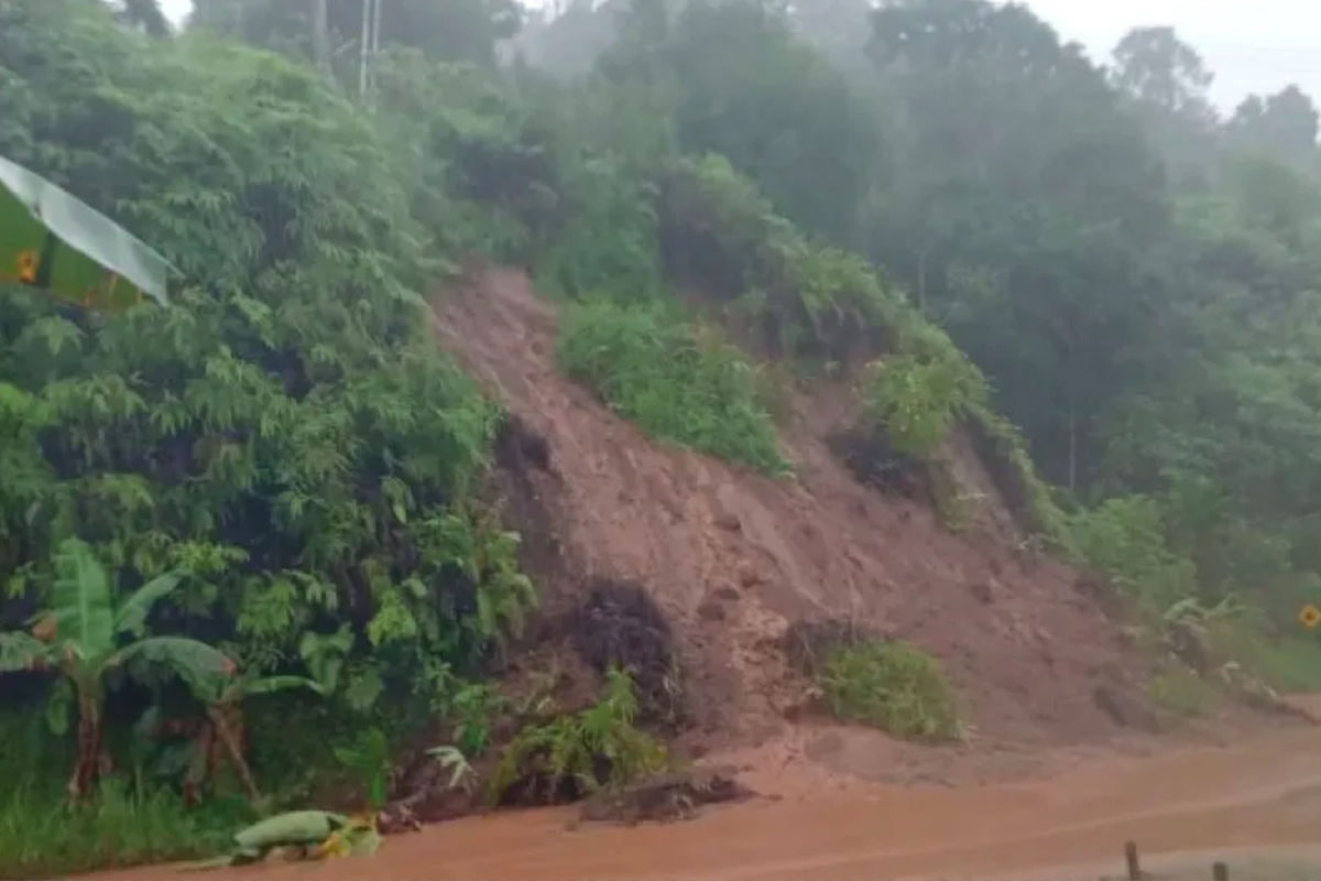 BPBD: Tujuh kecamatan di Padang terdampak cuaca buruk