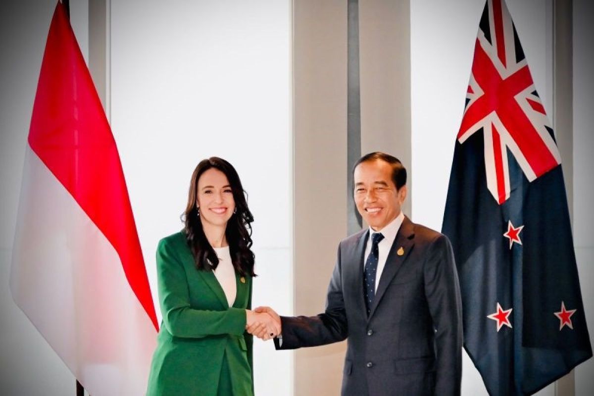 Indonesia harap spirit kerja sama G20 dapat berlanjut di KTT APEC