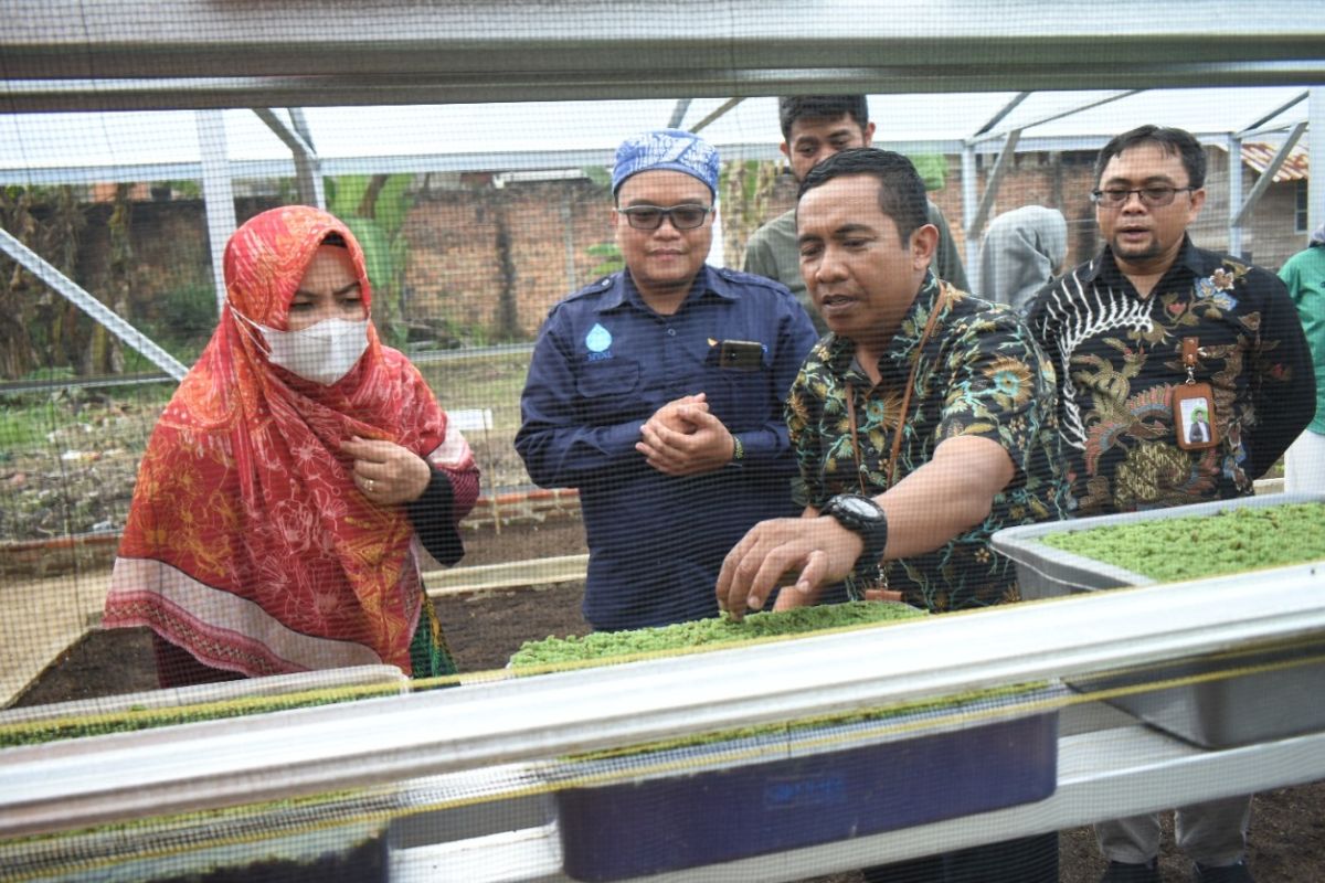 Bakti sosial karyawan dan Majelis Taklim XL Axiata bangun jamban sehat di Tegal dan wisata hijau di Lampung