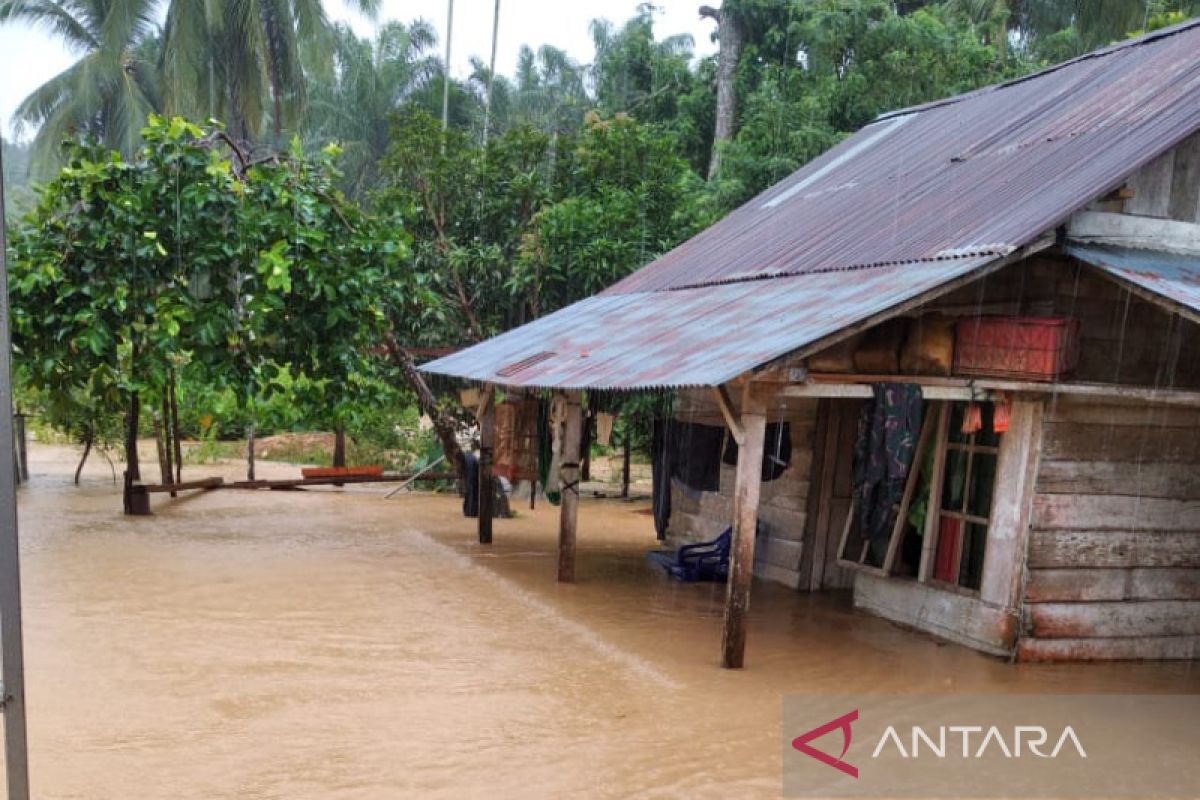 316 rumah warga tergenang akibat banjir di Mukomuko