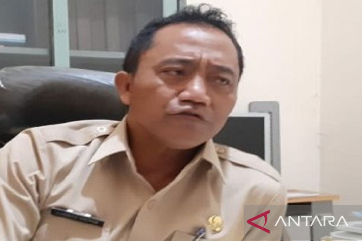 Pamekasan anggarkan pembelian kendaraan dinas listrik pada APBD tahun depan