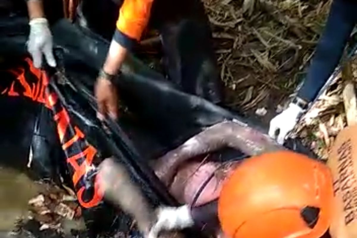 Tim SAR temukan korban tenggelam di Sungai Cimanceuri Kabupaten Tangerang