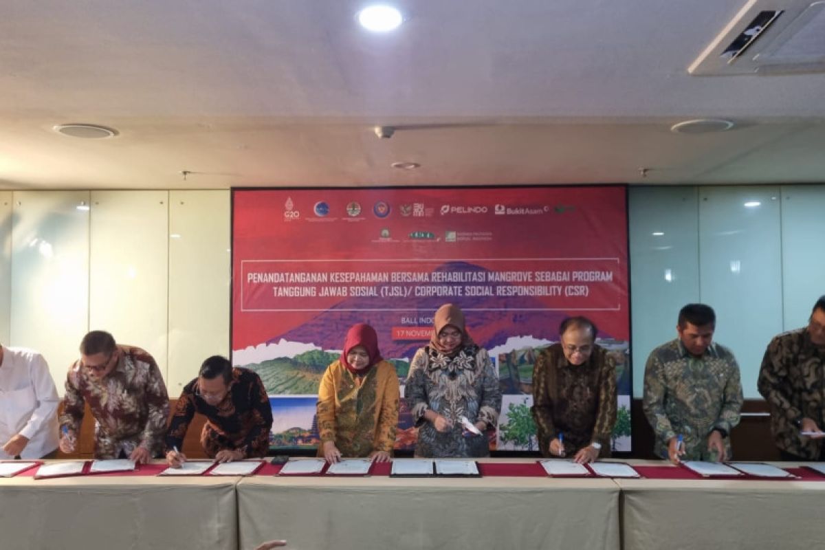 Ministry supports mangrove rehabilitation program in North Maluku