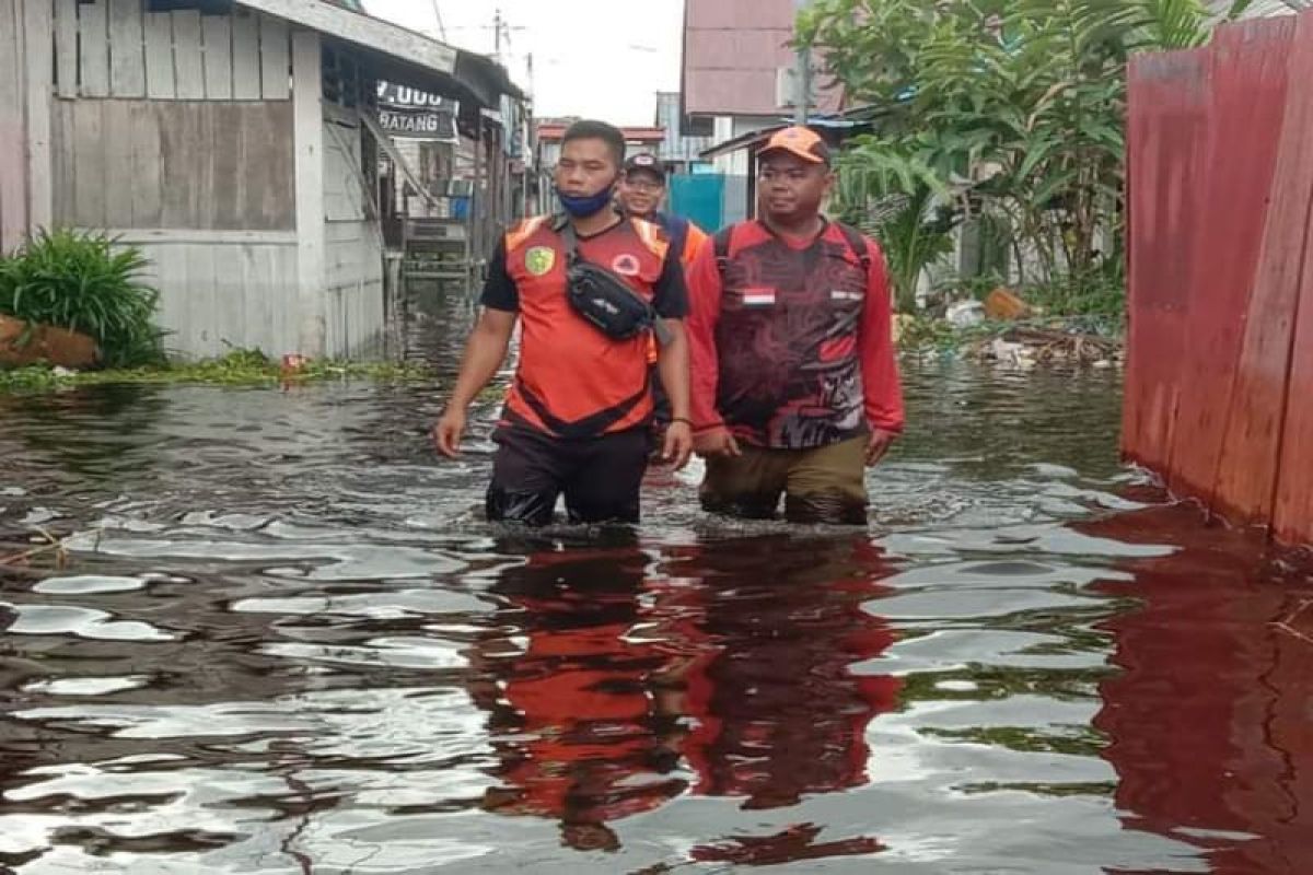 Legislator: Reboisasi jangka panjang cegah banjir di Palangka Raya