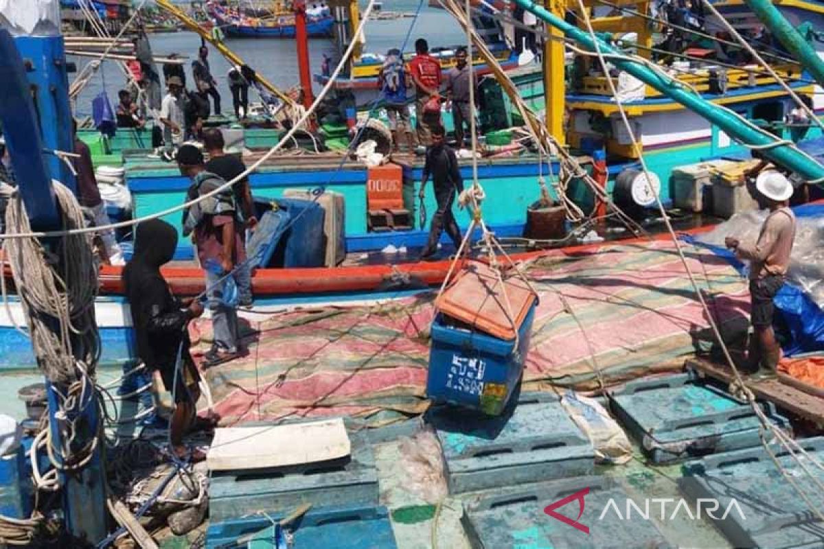 Tangkapan ikan nelayan Lhokseumawe turun drastis. Ini penyebabnya