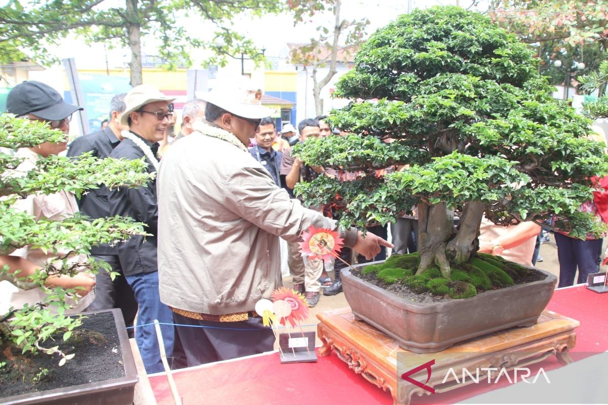 Bupati Sukabumi: Budidaya tanaman hias bonsai bisa jadi ladang usaha dan lapangan kerja