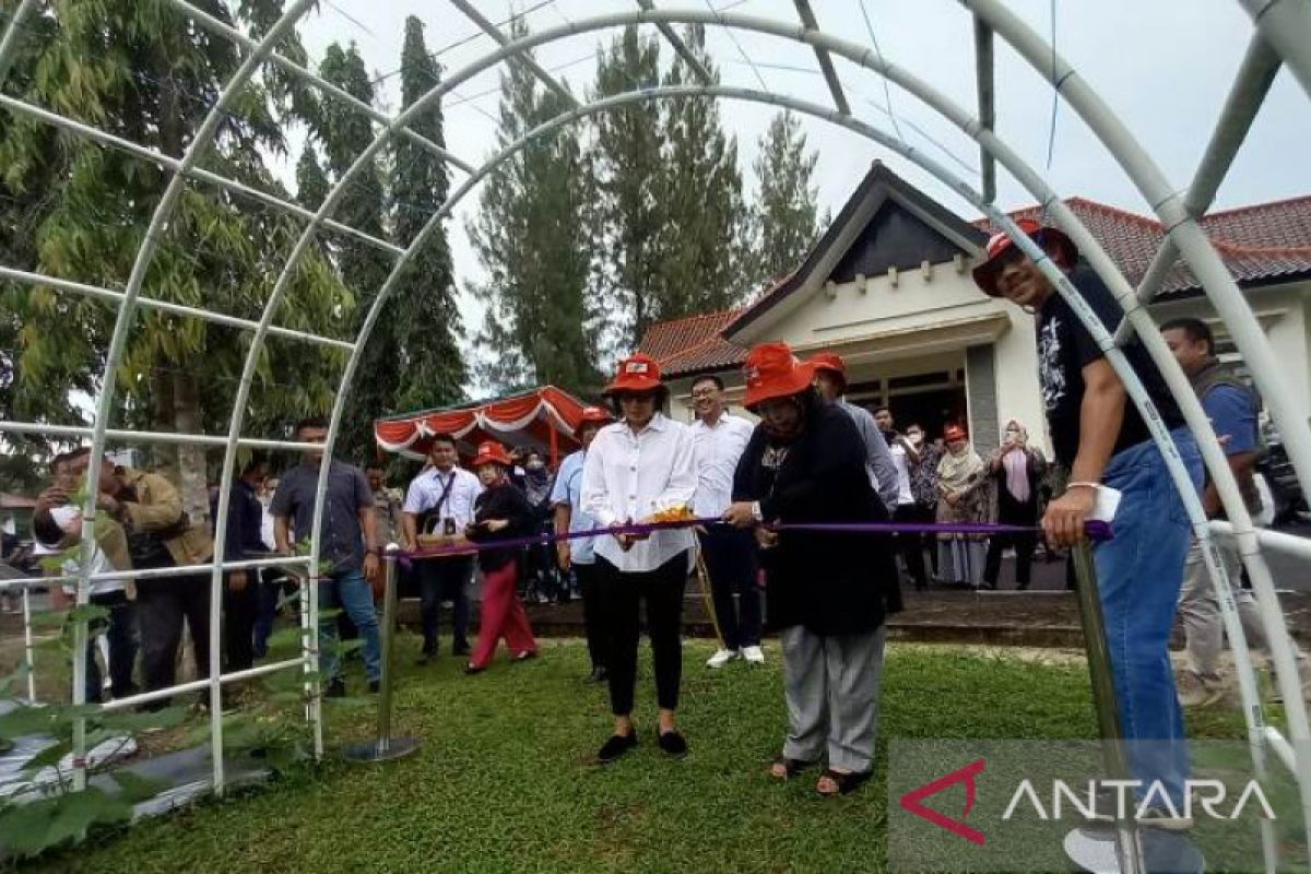 Babel gandeng Pupuk Indonesia hijaukan 123 ribu ha lahan kritis