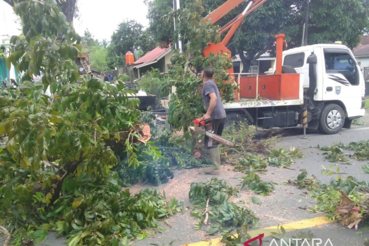 Pemkab Pasbar pangkas pohon pelindung upaya jaga keselamatan pengendara
