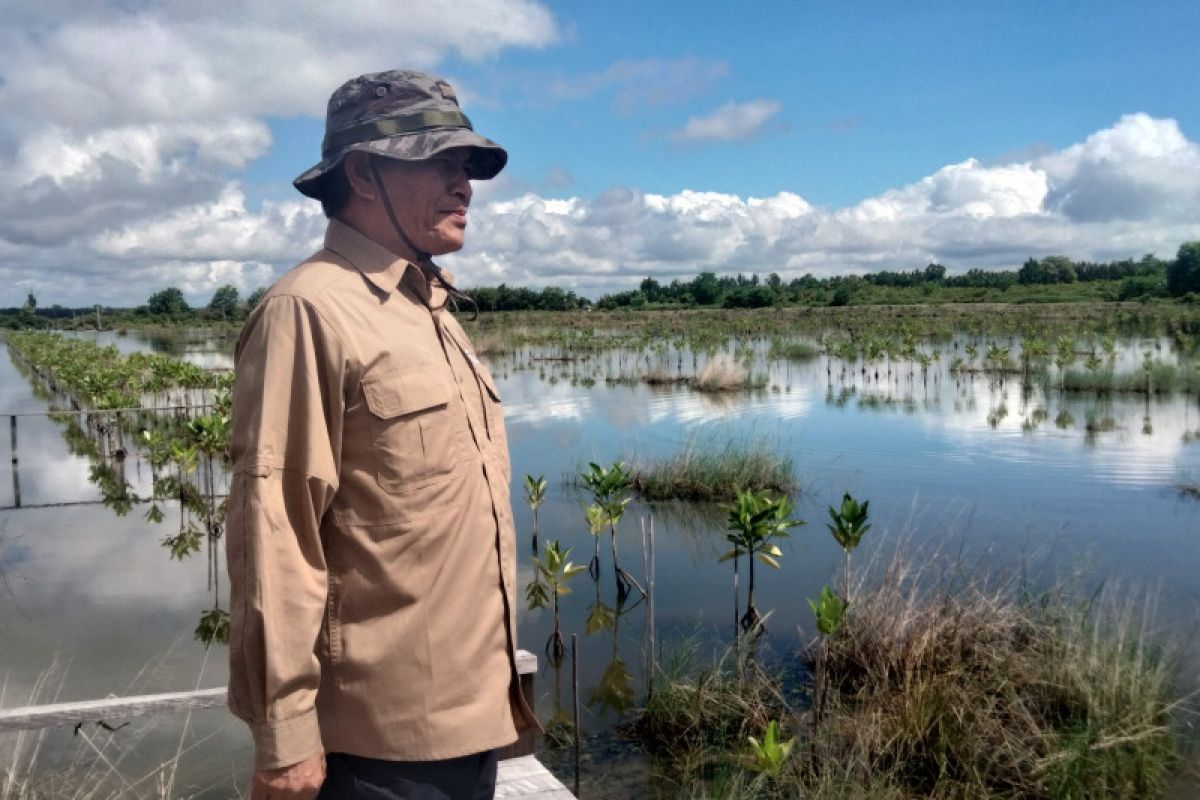 BRGM akan terapkan kombinasi tambak dan mangrove di Kaltara