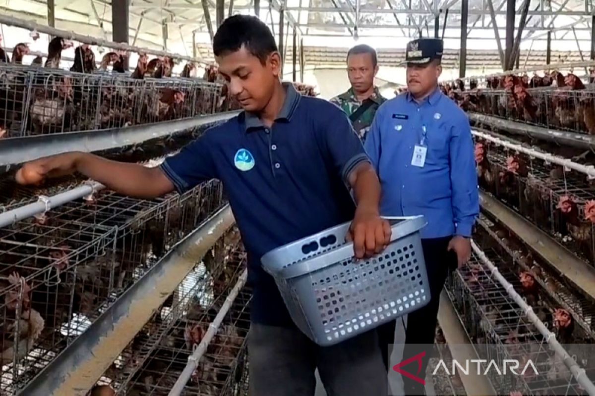 Pemasaran telur ayam Basarang merambah luar Kapuas