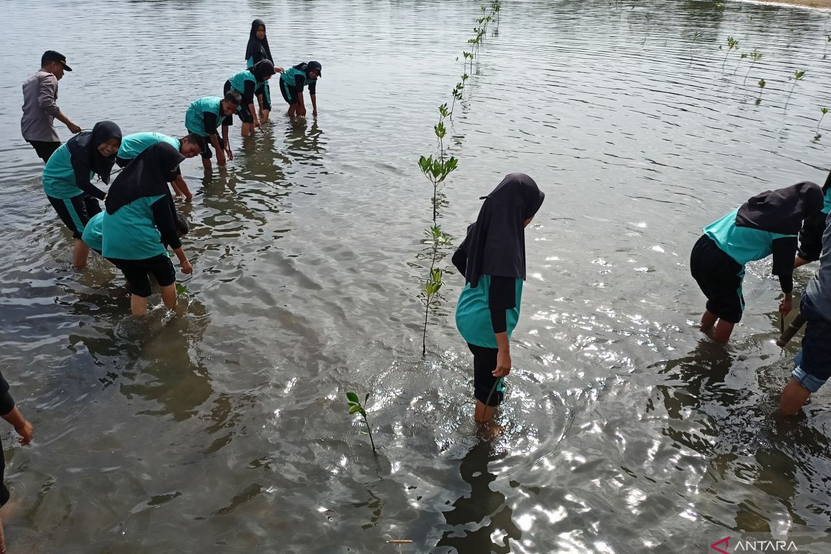 Pecahkan MURI, 44 ribu bibit bakau ditanam ratusan pelajar di Parigi